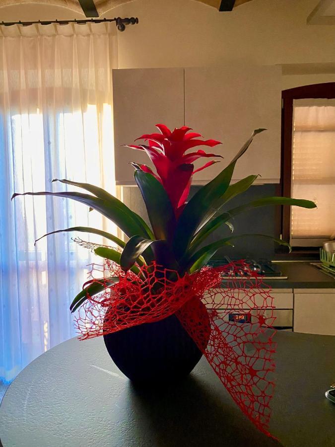 B&B Terrazza Sul Borgo 모글리아노 외부 사진